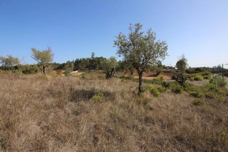 Terreno para Venda em Rio Maior Foto 10