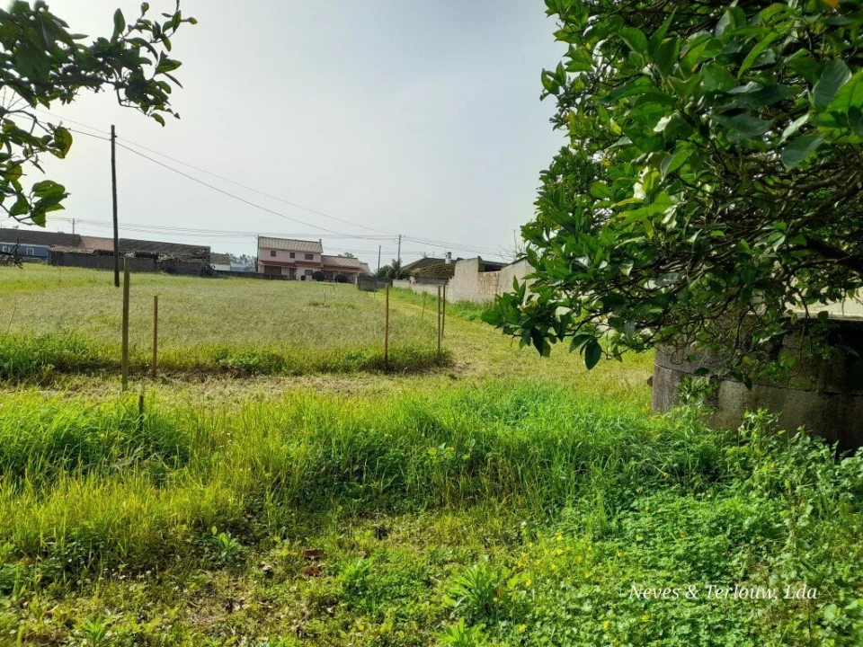 Terreno para Venda em Monte Redondo e Carreira Foto 7