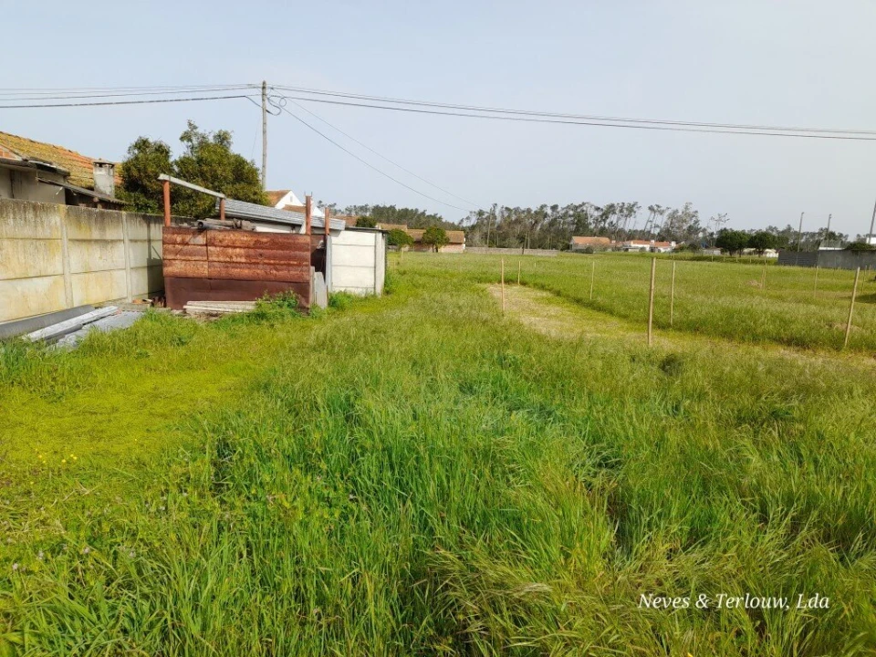 Terreno para Venda em Monte Redondo e Carreira Foto 4