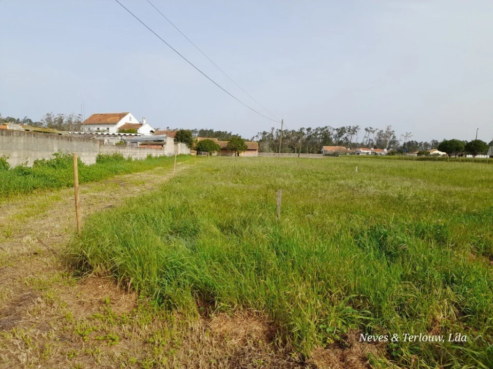 Terreno para Venda em Monte Redondo e Carreira Foto 3
