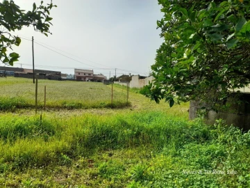Terreno para Venda em Monte Redondo e Carreira