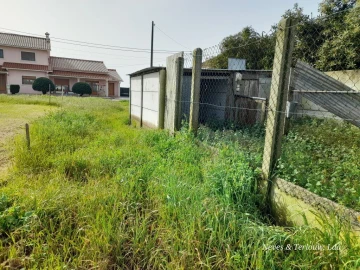 Terreno para Venda em Monte Redondo e Carreira