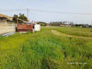Terreno para Venda em Monte Redondo e Carreira