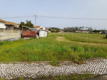 Terreno para Venda em Monte Redondo e Carreira