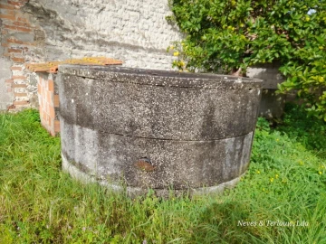 Terreno para Venda em Monte Redondo e Carreira