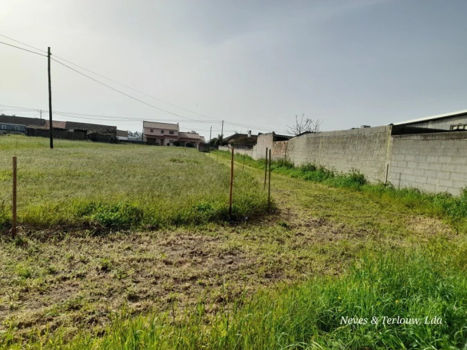 Terreno para Venda em Monte Redondo e Carreira Foto 6