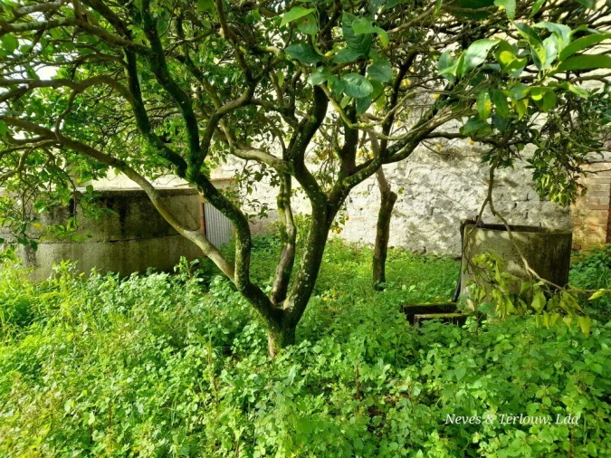 Terreno para Venda em Monte Redondo e Carreira Foto 9