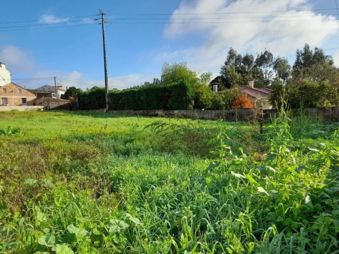 Terreno para Venda em Souto da Carpalhosa e Ortigosa Foto 3
