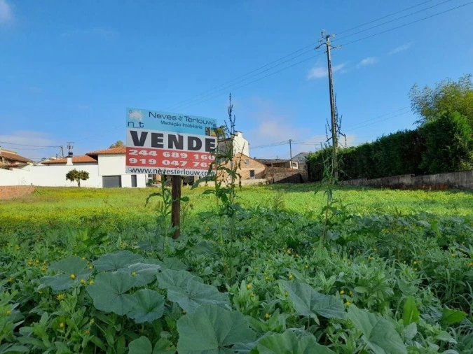 Terreno para Venda em Souto da Carpalhosa e Ortigosa Foto 5