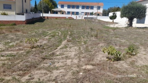 Terreno para Venda em Souto da Carpalhosa e Ortigosa
