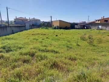 Terreno para Venda em Regueira de Pontes