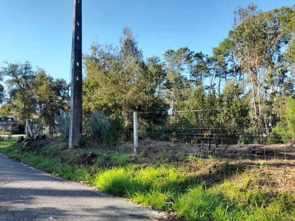 Terreno para Venda em Souto da Carpalhosa e Ortigosa Foto 16
