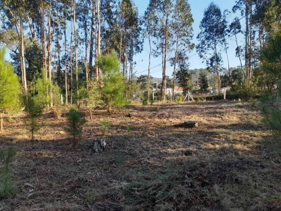 Terreno para Venda em Souto da Carpalhosa e Ortigosa Foto 8