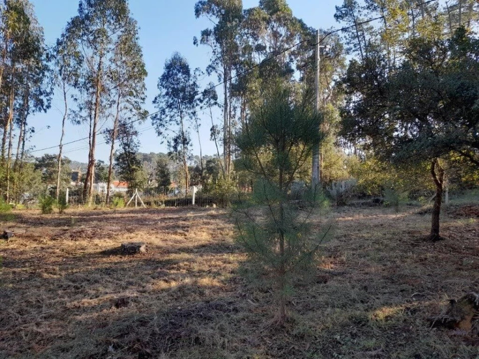 Terreno para Venda em Souto da Carpalhosa e Ortigosa Foto 7