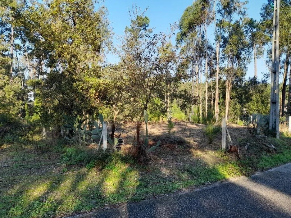 Terreno para Venda em Souto da Carpalhosa e Ortigosa Foto 14