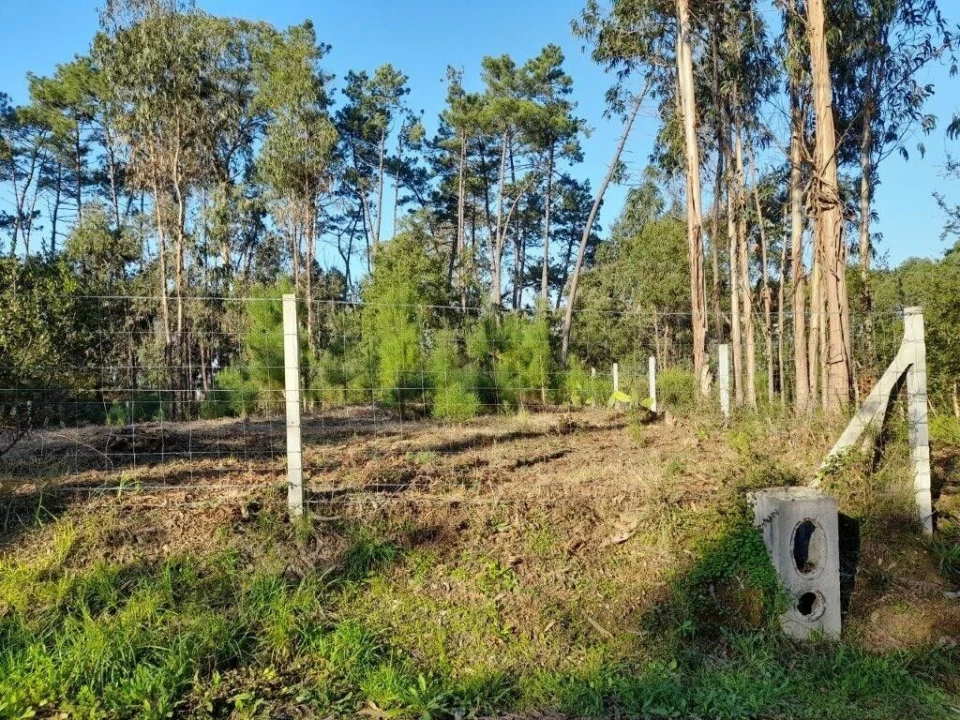 Terreno para Venda em Souto da Carpalhosa e Ortigosa Foto 10