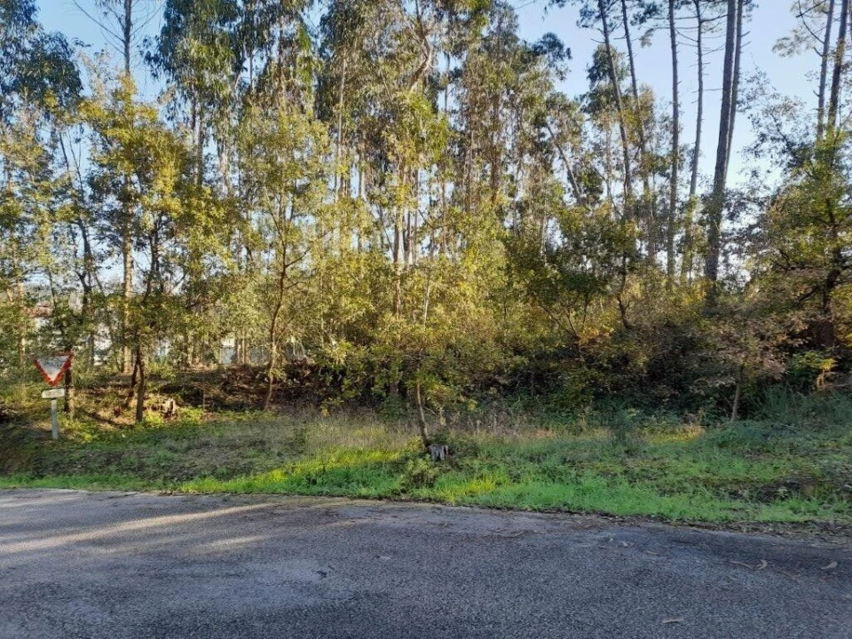 Terreno para Venda em Souto da Carpalhosa e Ortigosa Foto 12
