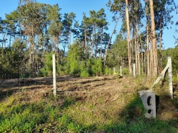 Terreno para Venda em Souto da Carpalhosa e Ortigosa