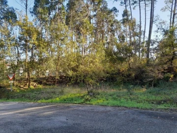 Terreno para Venda em Souto da Carpalhosa e Ortigosa