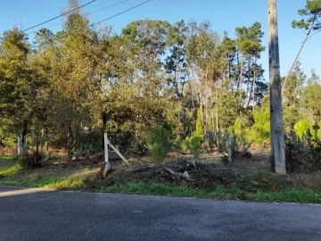 Terreno para Venda em Souto da Carpalhosa e Ortigosa