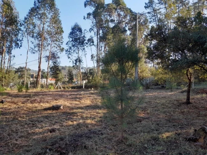 Terreno para Venda em Souto da Carpalhosa e Ortigosa Foto 7