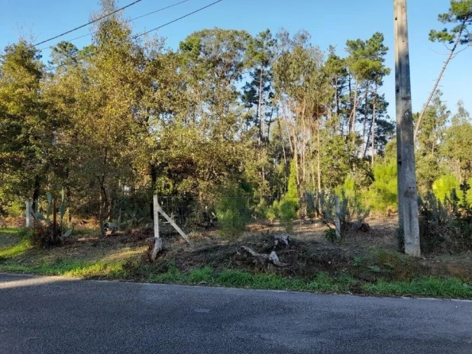 Terreno para Venda em Souto da Carpalhosa e Ortigosa Foto 15