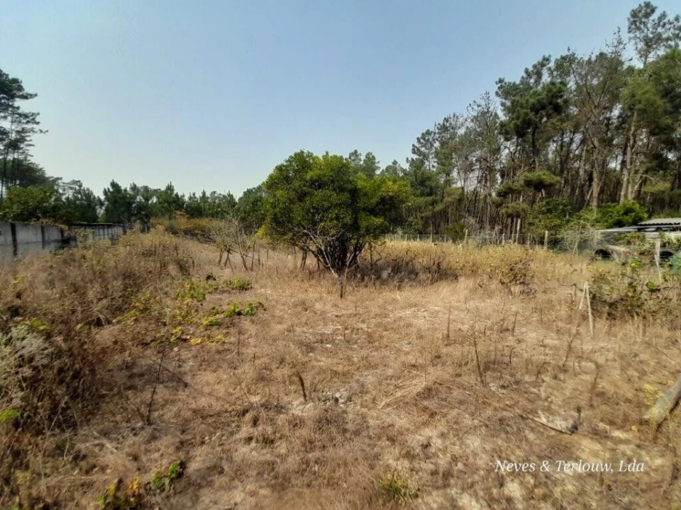 Moradia T3 para Venda em Monte Redondo e Carreira Foto 22