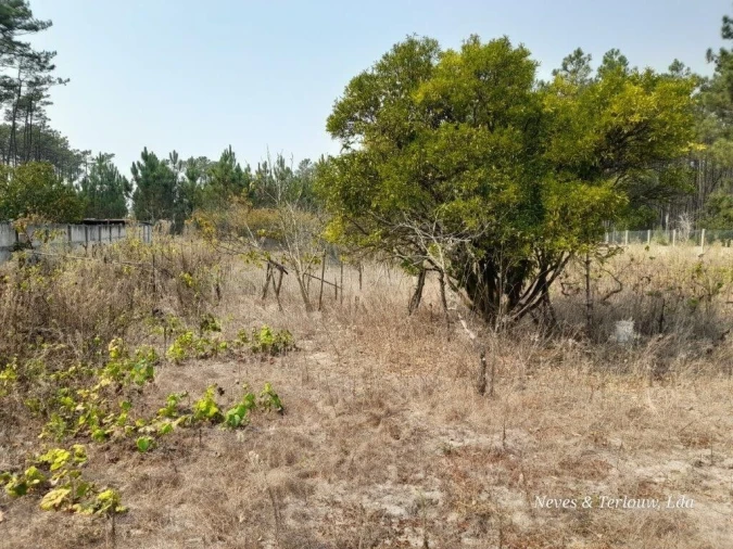 Moradia T3 para Venda em Monte Redondo e Carreira Foto 24