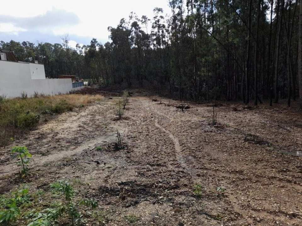 Terreno para Venda em Bajouca Foto 2