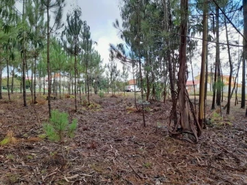 Terreno para Venda em Bajouca