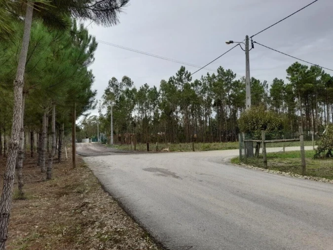Terreno para Venda em Bajouca Foto 11