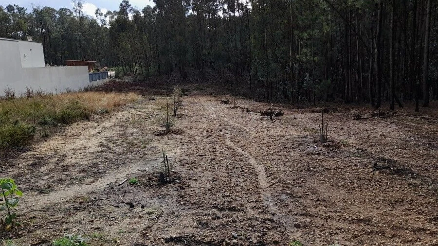 Terreno para Venda em Bajouca