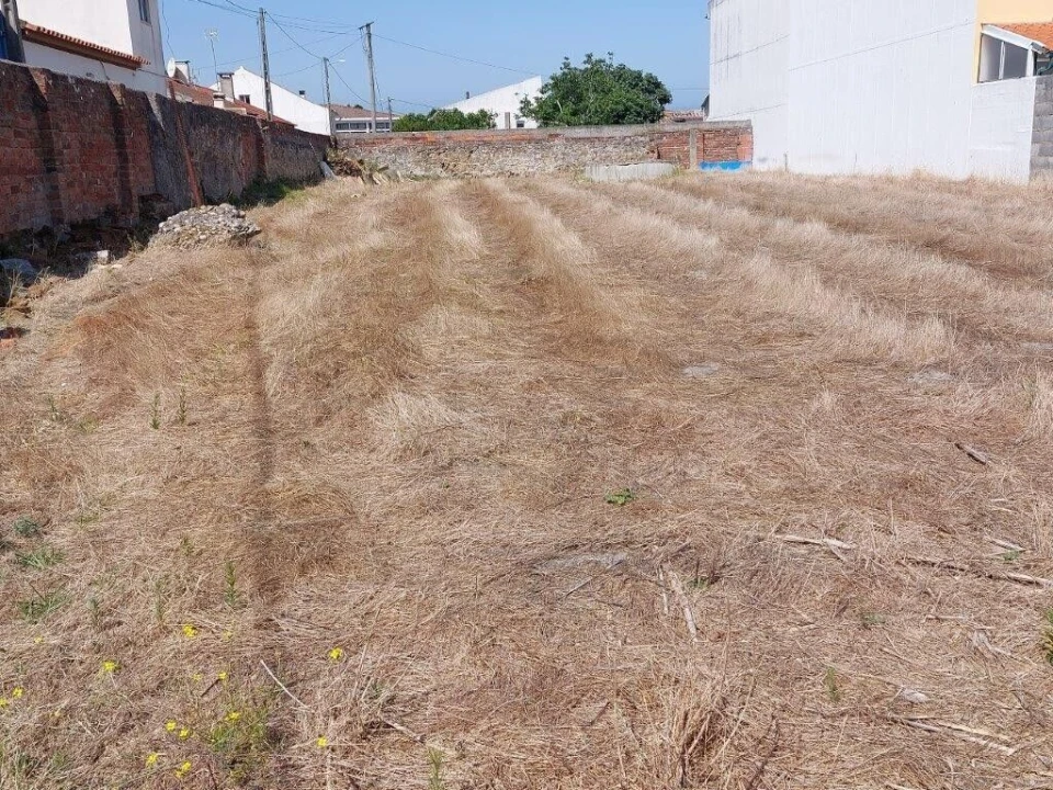 Terreno para Venda em Vieira de Leiria Foto 5