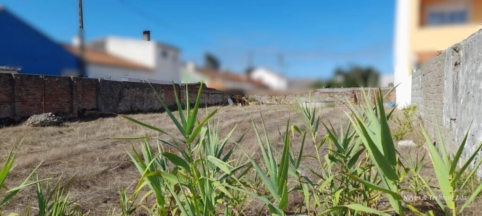 Terreno para Venda em Vieira de Leiria Foto 6