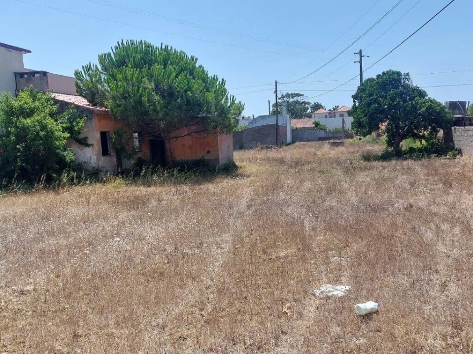 Terreno para Venda em Vieira de Leiria Foto 2