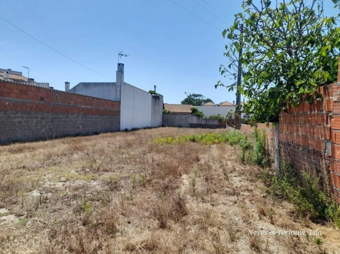 Terreno para Venda em Vieira de Leiria Foto 9