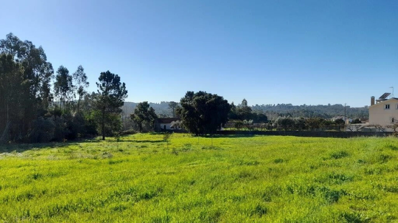 Terreno para Venda em Souto da Carpalhosa e Ortigosa Foto 11
