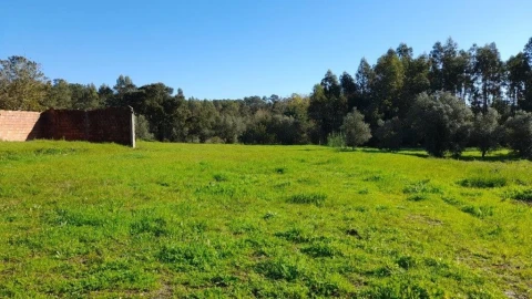 Terreno para Venda em Souto da Carpalhosa e Ortigosa