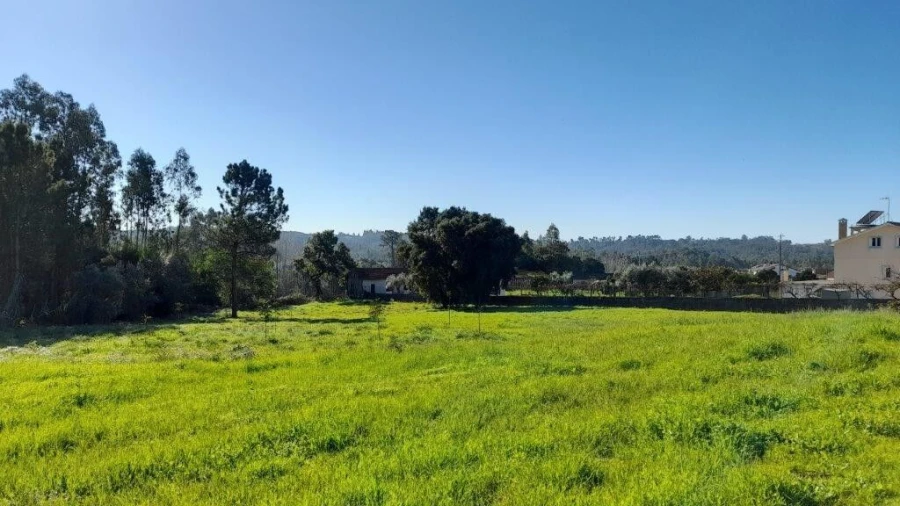 Terreno para Venda em Souto da Carpalhosa e Ortigosa Foto 11