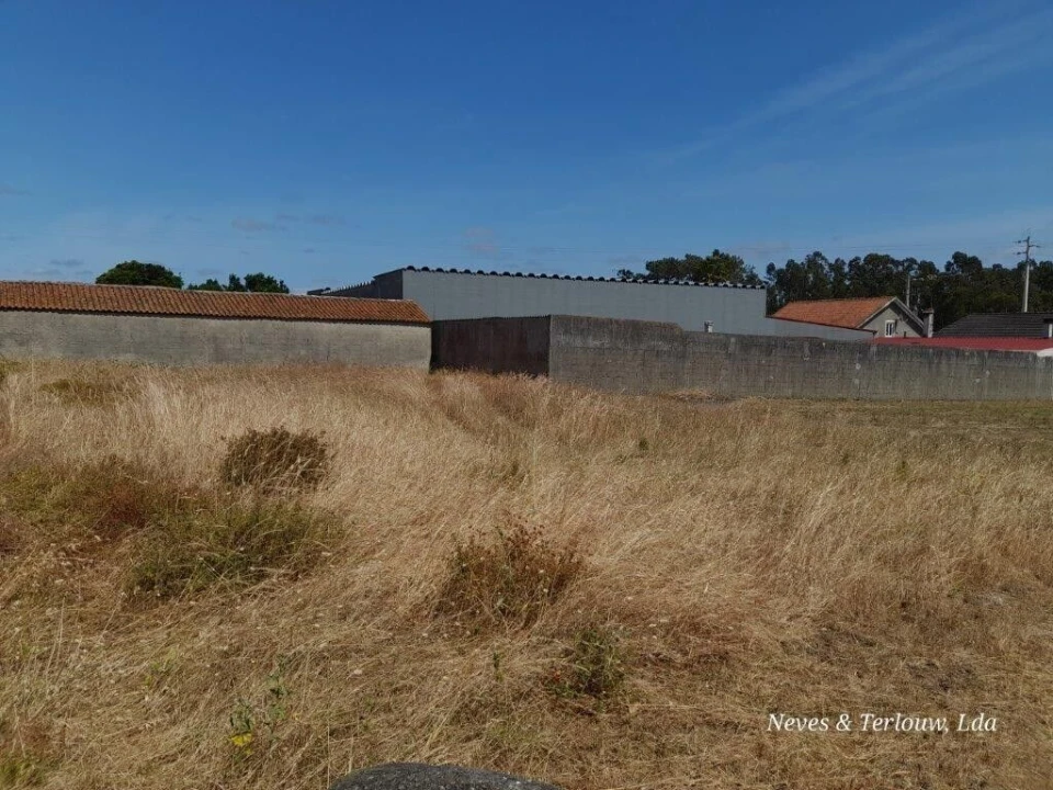 Terreno para Venda em Monte Redondo e Carreira Foto 5