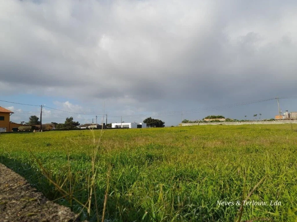 Terreno para Venda em Monte Redondo e Carreira Foto 5