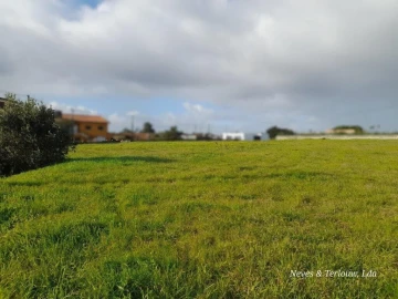 Terreno para Venda em Monte Redondo e Carreira