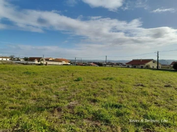Terreno para Venda em Monte Redondo e Carreira