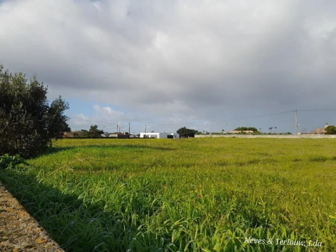 Terreno para Venda em Monte Redondo e Carreira Foto 4