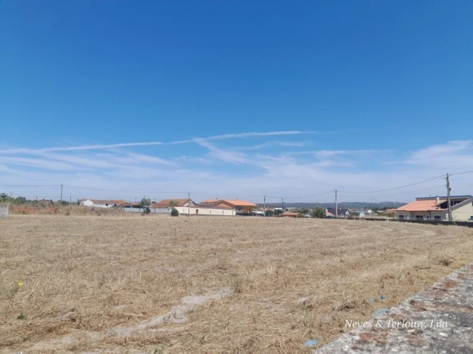 Terreno para Venda em Monte Redondo e Carreira Foto 2
