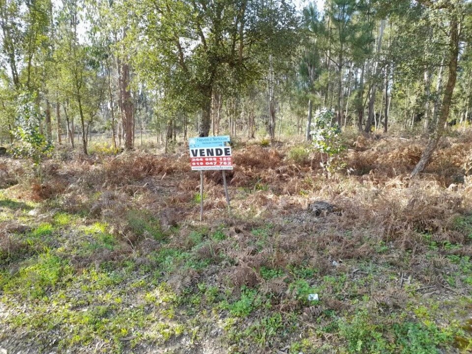 Terreno para Venda em Souto da Carpalhosa e Ortigosa Foto 3