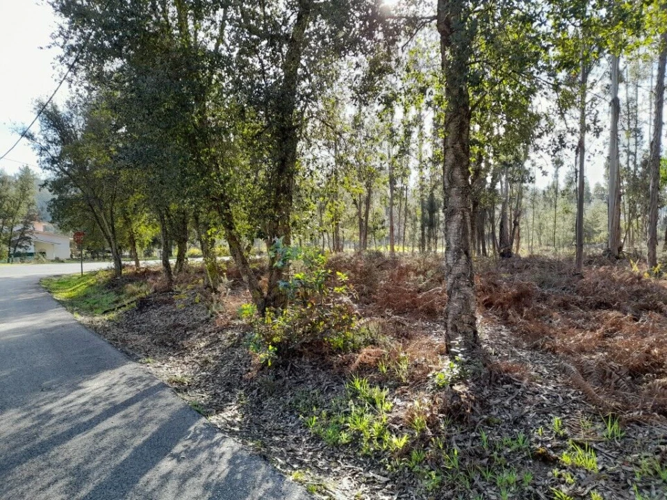Terreno para Venda em Souto da Carpalhosa e Ortigosa Foto 8