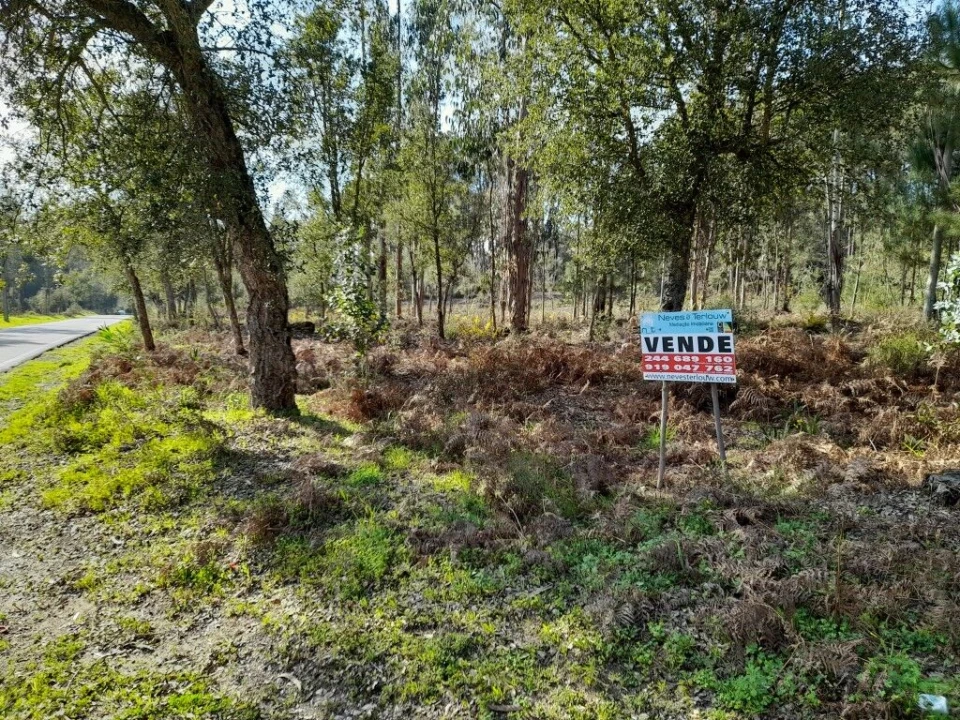 Terreno para Venda em Souto da Carpalhosa e Ortigosa Foto 2