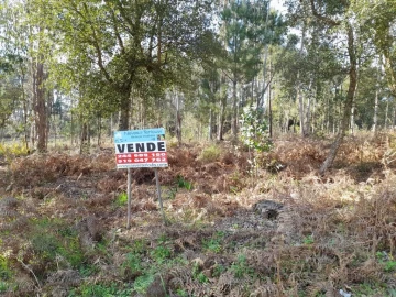 Terreno para Venda em Souto da Carpalhosa e Ortigosa