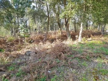 Terreno para Venda em Souto da Carpalhosa e Ortigosa